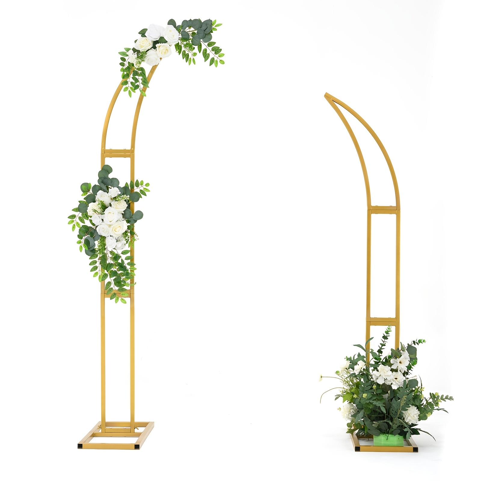 Photography Website - Ox Hoorn Bloemen Boog Stand Achtergrond