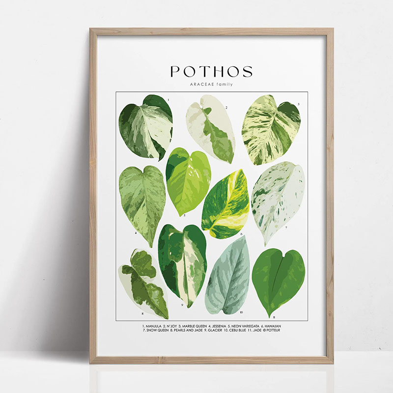 1pc moderne kamerplanten blade - Photography Pose recensie en prijs