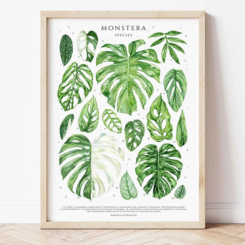 1pc moderne kamerplanten blade - Photography Pose recensie en prijs