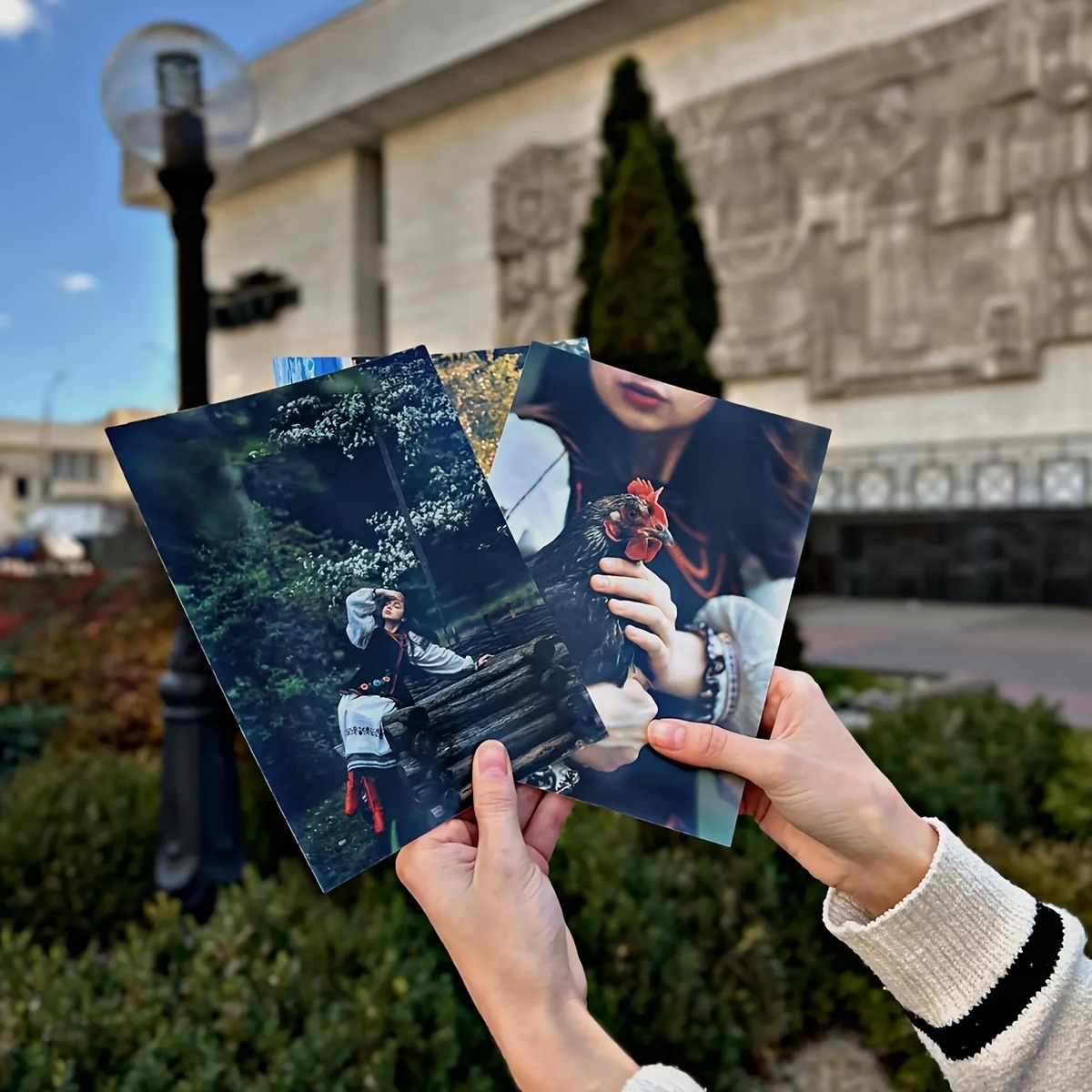 1/3/6 stuks beschikbaar, geper - Photography Website recensie en prijs