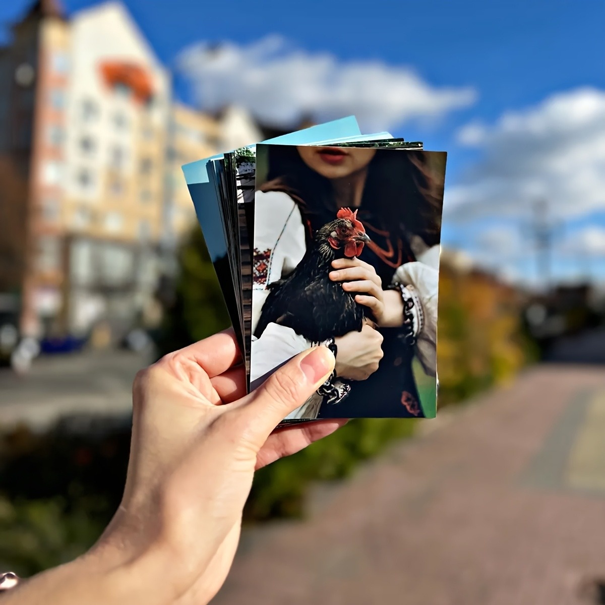 1/3/6 stuks beschikbaar, geper - Photography Website recensie en prijs