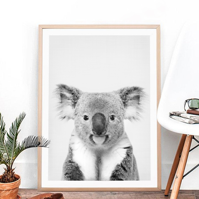 Koala Print Zwart-wit Foto Can - Photography Zoo recensie en prijs