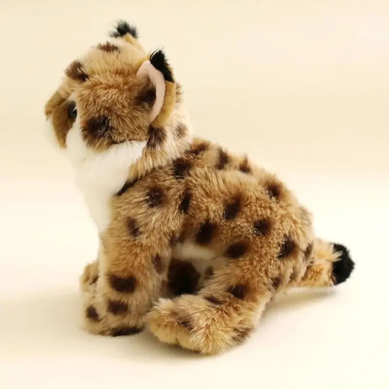 Levensechte Felidae Lynx Knuff - Photography Zoo recensie en prijs